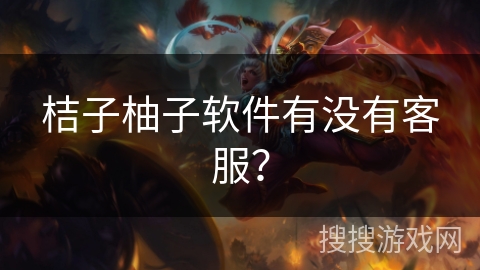 桔子柚子软件有没有客服？