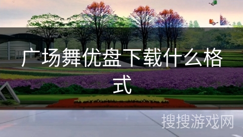 广场舞优盘下载什么格式 广场舞优盘下载什么格式