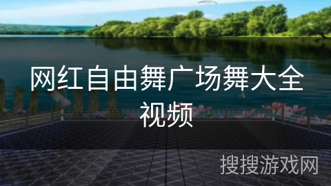 网红自由舞广场舞大全视频