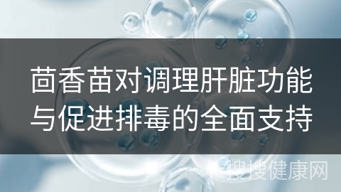 茴香苗对调理肝脏功能与促进排毒的全面支持