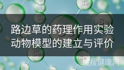 路边草的药理作用实验动物模型的建立与评价