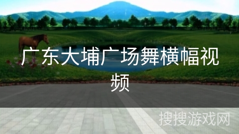 广东大埔广场舞横幅视频