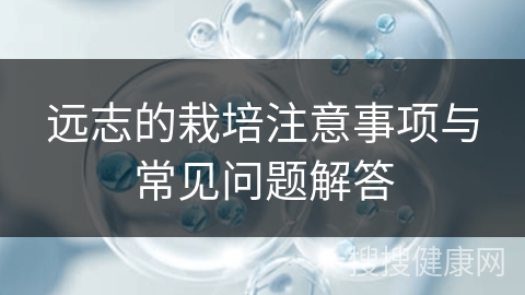 远志的栽培注意事项与常见问题解答