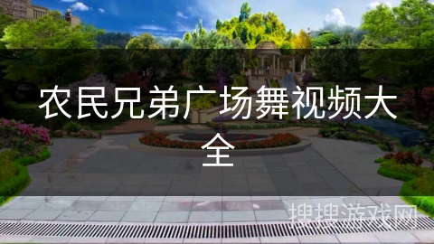 农民兄弟广场舞视频大全
