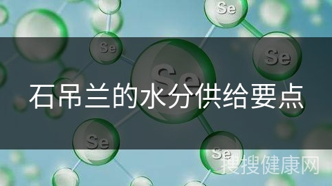 石吊兰的水分供给要点