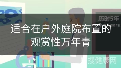 适合在户外庭院布置的观赏性万年青