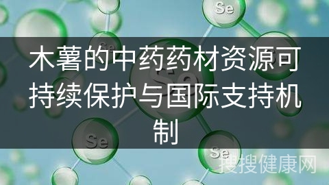 木薯的中药药材资源可持续保护与国际支持机制