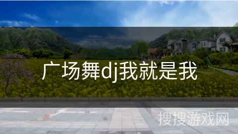 广场舞dj我就是我