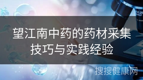 望江南中药的药材采集技巧与实践经验