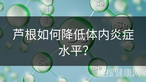 芦根如何降低体内炎症水平？