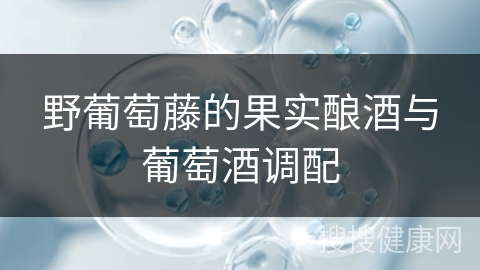 野葡萄藤的果实酿酒与葡萄酒调配