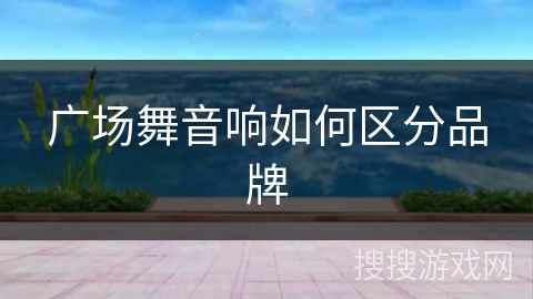 广场舞音响如何区分品牌