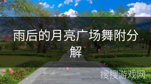 雨后的月亮广场舞附分解