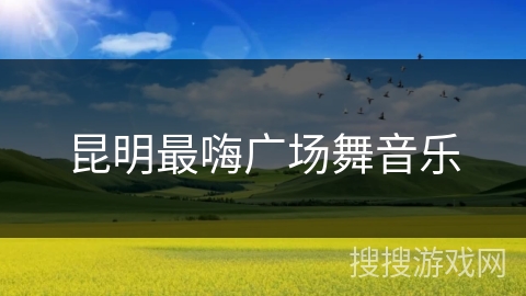 昆明最嗨广场舞音乐 昆明最嗨广场舞音乐