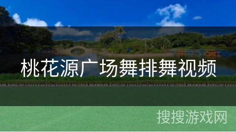 桃花源广场舞排舞视频