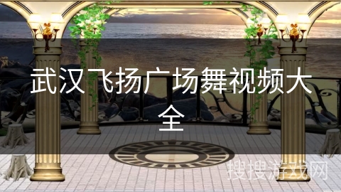 武汉飞扬广场舞视频大全