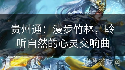 贵州通:漫步竹林,聆听自然的心灵交响曲 贵州通:漫步竹林,聆听自然的心灵交响曲