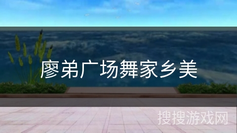 廖弟广场舞家乡美