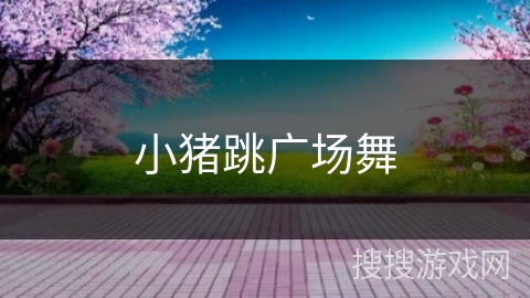 小猪跳广场舞