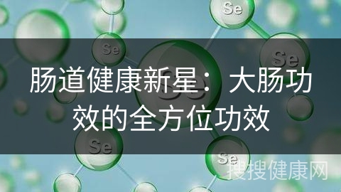 肠道健康新星：大肠功效的全方位功效