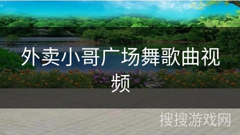 外卖小哥广场舞歌曲视频