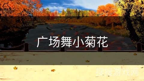 广场舞小菊花