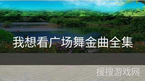 我想看广场舞金曲全集