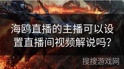海鸥直播的主播可以设置直播间视频解说吗？
