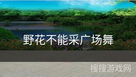 野花不能采广场舞