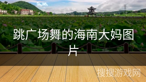 跳广场舞的海南大妈图片