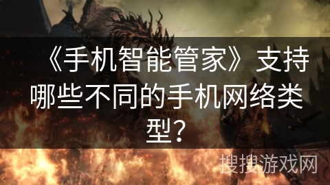 《手机智能管家》支持哪些不同的手机网络类型? 《手机智能管家》支持哪些不同的手机网络类型?