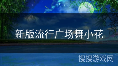 新版流行广场舞小花