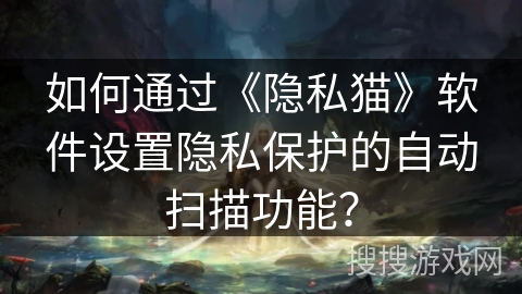 如何通过《隐私猫》软件设置隐私保护的自动扫描功能？