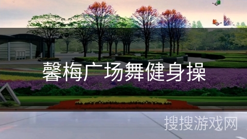 馨梅广场舞健身操