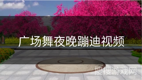 广场舞夜晚蹦迪视频