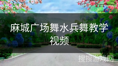 麻城广场舞水兵舞教学视频