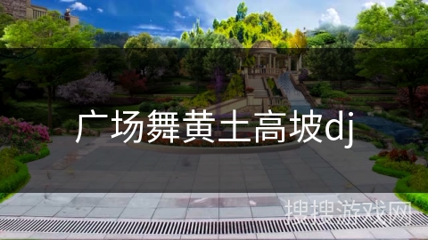 广场舞黄土高坡dj