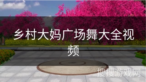 乡村大妈广场舞大全视频