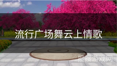 流行广场舞云上情歌