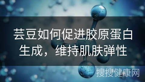 芸豆如何促进胶原蛋白生成，维持肌肤弹性