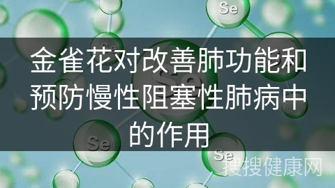 金雀花对改善肺功能和预防慢性阻塞性肺病中的作用