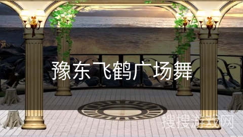 豫东飞鹤广场舞