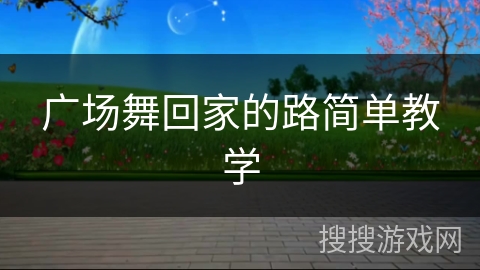 广场舞回家的路简单教学