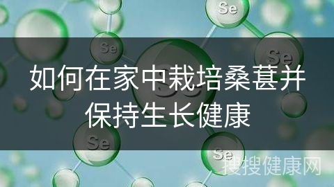 如何在家中栽培桑葚并保持生长健康