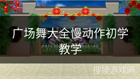 广场舞大全慢动作初学教学