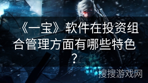 《一宝》软件在投资组合管理方面有哪些特色？
