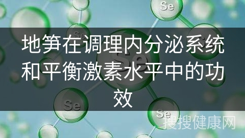 地笋在调理内分泌系统和平衡激素水平中的功效