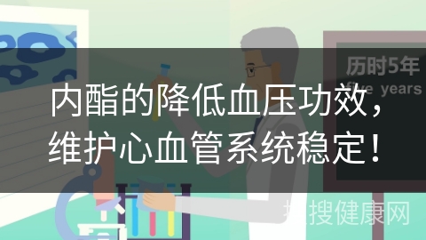 内酯的降低血压功效，维护心血管系统稳定！