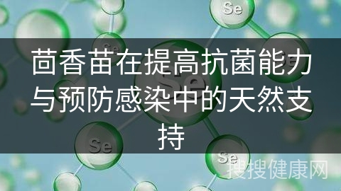 茴香苗在提高抗菌能力与预防感染中的天然支持