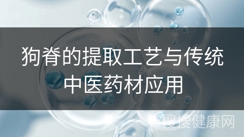 狗脊的提取工艺与传统中医药材应用